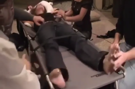 X226来自鱼也会流泪的视频