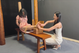 X012【忘忧社工作室】女特务痒刑烤问交际花TK